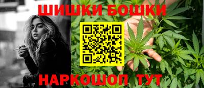 бошки Партизанск