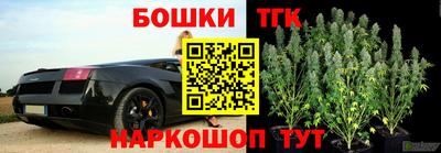тгк Пенза