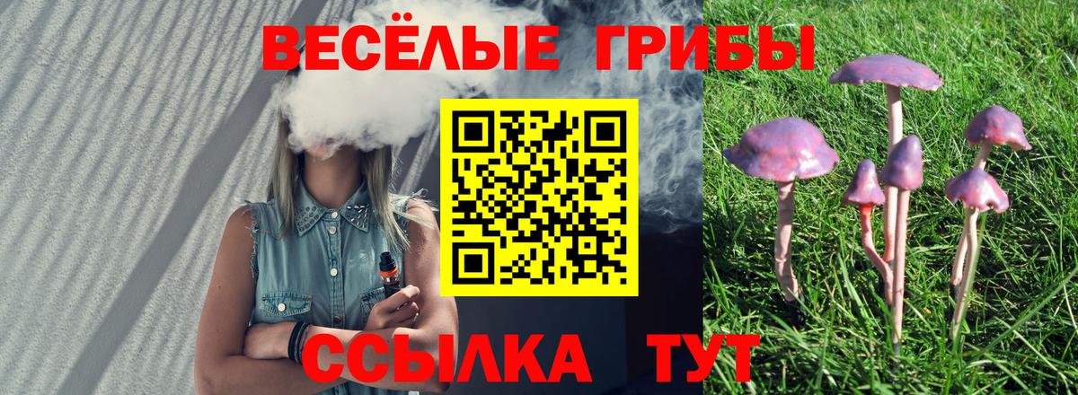 Галлюциногенные грибы Psilocybine cubensis Ставрополь
