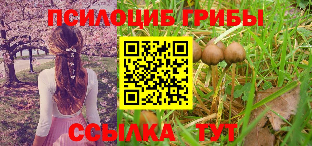 Ставрополь  Галлюциногенные грибы Cubensis  Галлюциногенные грибы Magic Shrooms  где продают наркотики  Вход с VPN 