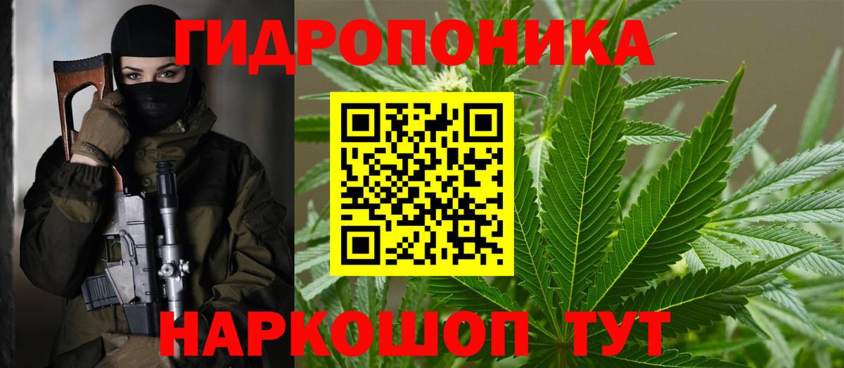 Бошки марихуана LSD WEED  Бошки Шишки семена  Канабис конопля  Ставрополь  Вход с VPN 